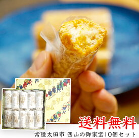 【茨城県の名物!宝月堂】 西山の御家宝　約25g × 10本入 【出産内祝い】【結婚式】【法事引き出物】【結婚内祝い】【快気祝い】【お返し】【香典返し】【楽ギフ_包装選択】【楽ギフ_のし宛書】【お中元】【お歳暮】