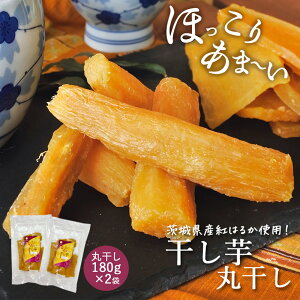 Gg[P10{ Mtg v[g  Y Y 錧Y g͂邩 ۊ 180g×1܁E 180g×2 XC[c aَq ܈   Zbg  oYj