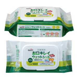 �ʐ�q�� �P�A�n�[�g ���o��� �����L���C �E�F�b�g�V�[�gN 100�����y���o�P�A���i ���p�i�z