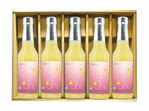 yyVSSIP5{zyza̎R ̑ MqXp[NO 5{Zbg c yL[z