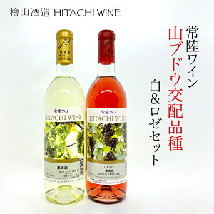 Gg[P10{hV̓ Mtg wR RuhEz 헤C 2{Zbg  720ml [ 720ml  v[g Mtg oYj  j Cj Ԃ TԂ
