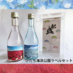 Gg[P10{hV̓ Mtg v[g  ݔ  cЂClxZbg 300ml×2{ ltB ċ RLA Ď  oYj j 
