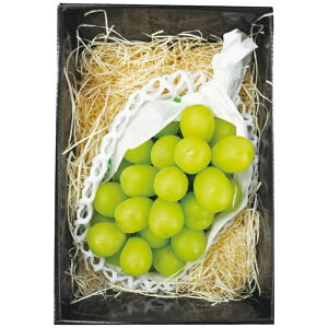 y  zy Ε ~Mtg z }} 쌧Y VC}XJbg y N Mtg zy Mtg Yn i z