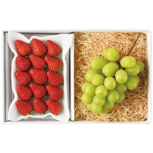 y  zy Ε ~Mtg z t[c[h VC}XJbgƂl y N Mtg zy Mtg Yn i z