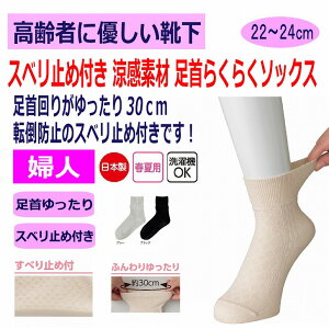  C fB[X wl p 22`24cm ׂ~ߕtfރ\bNX { t  