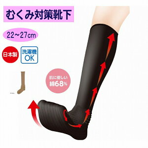  C ނݑ΍ \bNX fB[X wl p pC ]|h~ ܂ɂ ܐ オ ܂ɂ s nr Lw pߗ   VjA