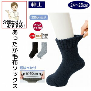 {  C э  N ѕz \bNX Y am p H~  pC L 40cm  邢 ̂т ނ nr ߕtȂ  