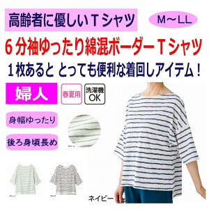 TVc 6ȍ{[_[TVc VjAt@bV fB[X 80 t    킢 M~L LL   60 70 90 i  z[EFA iȕ 