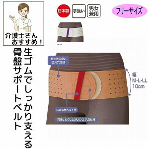 SՃT|[gxg T|[^[ M L LL jp Y fB[X  VjA