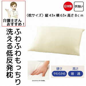 {  p  􂦂ᔽ AC{[ 43×63cm 􂦂  d 炩    lp  VjA