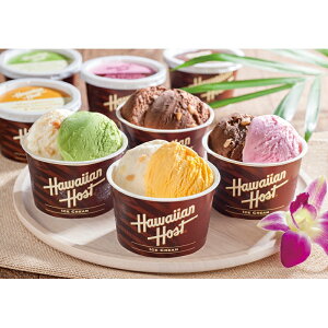 }J_~AibcACXi12/12܂Łj u 蕨  Ε  2025 Mtg j o oYj Cj TԂ Ԃ ~Mtg Hi @l j v y  z