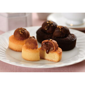 VNi8ji12/15܂Łj u 蕨  Ε  2025 Mtg j o oYj Cj TԂ Ԃ ~Mtg Hi @l j v y  z