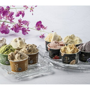 ~̃ACXZNVi12/16܂Łj u 蕨  Ε  2025 Mtg j o oYj Cj TԂ Ԃ ~Mtg Hi @l j v y  z