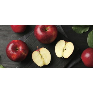 XY 񂲁i12/16܂Łj u 蕨  Ε  2025 Mtg j o oYj Cj TԂ Ԃ ~Mtg Hi @l j v y  z