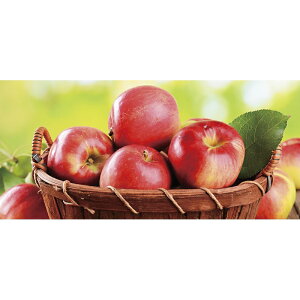 쌧Y Tӂ񂲁i12/16܂Łj u 蕨  Ε  2025 Mtg j o oYj Cj TԂ Ԃ ~Mtg Hi @l j v y  z