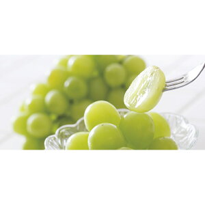 VC}XJbgi12/3܂Łj u 蕨  Ε  2025 Mtg j o oYj Cj TԂ Ԃ ~Mtg Hi @l j v y  z