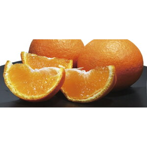 QY g܂ǂȁi12/16܂Łj u 蕨  Ε  2025 Mtg j o oYj Cj TԂ Ԃ ~Mtg Hi @l j v y  z