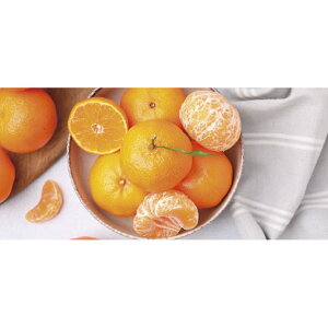 a̎RY Lc݂i12/16܂Łj u 蕨  Ε  2025 Mtg j o oYj Cj TԂ Ԃ ~Mtg Hi @l j v y  z