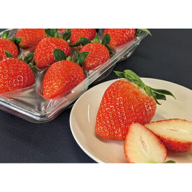 福岡県産 いちご食べ比べギフト（12/8まで） 「 贈り物 御礼 お歳暮 早割り 2025 ギフト 内祝い 引き出物 出産内祝い 快気祝い 香典返し お返し 冬ギフト 食品 法人 内祝 」 【 送料無料 】