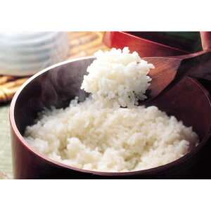 ቷ@ XnR YЂʍ͔|āif[Uji12/18܂Łj u 蕨  Ε  2025 Mtg j o oYj Cj TԂ Ԃ ~Mtg H