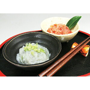 x͘pсER炷ЃZbgi12/16܂Łj u 蕨  Ε  2025 Mtg j o oYj Cj TԂ Ԃ ~Mtg Hi @l j v y  