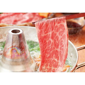 ㋍Ԃ&||E܂Zbgi12/11܂Łj u 蕨  Ε  2025 Mtg j o oYj Cj TԂ Ԃ ~Mtg Hi @l j 