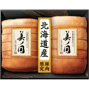 kC v~A mi12/11܂Łj u 蕨  Ε  2025 Mtg j o oYj Cj TԂ Ԃ ~Mtg Hi @l j v y  z