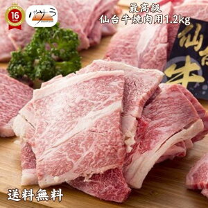 y Mtg  zy 䋍ē1.2kg Ⓚ z i{錧jFoAJ^ u    ē Zbg Hה Mtg    Y ㋍ O đ  j 