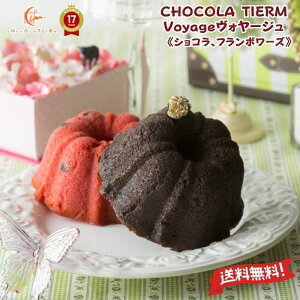 mَq Ăَq Mtg y Voyage-H[W 2 VR t|[Y zy VReBG[ zu  mَq 킢  َq mَq   Ԃ v