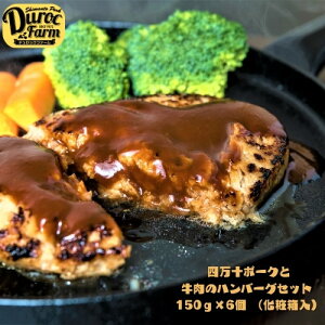 Mtg no[O Mtg Y y l\|[NƋ̃no[OZbg 150gx6 zϔ y fbNt@[ I Mtg zu  Ε y Zbg j  Ⓚ  Hi 