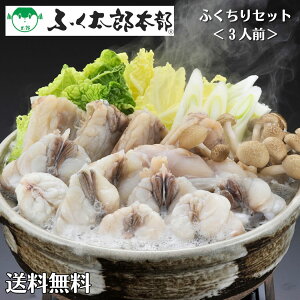 ӂY Ƃӂ y ӂ Zbg 3lO zu ӂ Mtg   ӂ ӂh ӂZbg ӂhg Ƃӂ q Ђ Ђ ӂZbg 3lO Ƃӂ  tO ͓ 