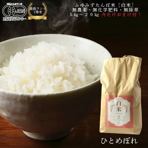 y ߘa7NxY V z܂tIЂƂ߂ڂy  zy 1 zIOt@[ y L@JASF V L@͔| zӂ݂ڕ 3kg 5kg 10kg u  _ƒ L@͔| R 