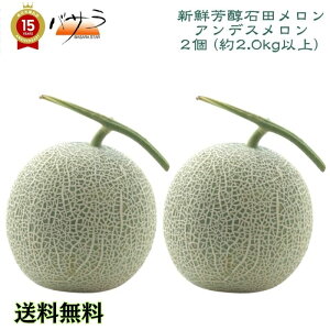 y 2026Nx 6n \̔ z AfX (  ) 2 (2.5kg) [  ]e1.2kg̑2-3LTCY2 u ̓Mtg  gc  { ʕZbg  t[