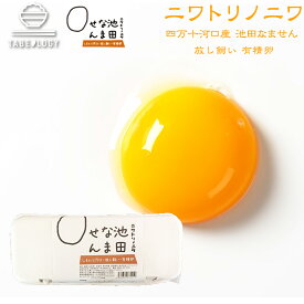 池田なません ニワトリノニワ 有精卵 1パック（10個入り）【生卵かけご飯】が最高【ニワトリノニワの池田なません】(産卵数激減のため出荷は11月中旬となります)