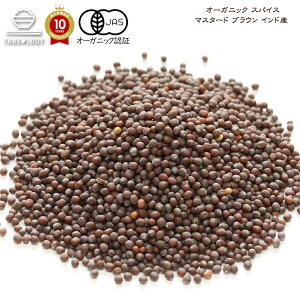 I[KjbN }X^[h uE 500g gAjAYy  zu XpCX XpCXZbg XpCXJ[  @Lv 藿 I[XpCX Hi Y 
