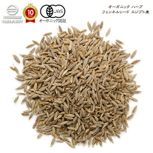 yL@JASz I[KjbN tFlV[h 500g GWvgYyz@XpCX XpCXZbg XpCXJ[  @Lv 藿 I[XpCX Hi Y