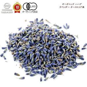 y L@JAS z I[KjbN x_[ 200g I[XgAYy  z u XpCX XpCXZbg XpCXJ[  @Lv 藿 I[XpCX Hi Y