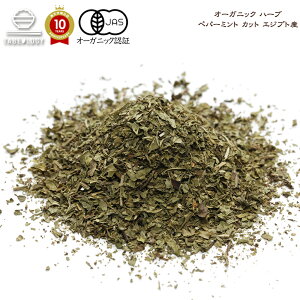 y L@JAS z I[KjbN yp[~g Jbg 100g GWvgY  u XpCX XpCXZbg XpCXJ[   Lv 藿 I[XpCX Hi Y