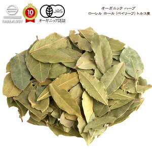 y L@JAS z I[KjbN [ z[ (xC[t) 4-7cm 100g gRYy  zu XpCX XpCXZbg XpCXJ[  Lv 藿 I[XpCX Y