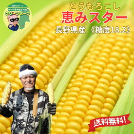 【 2026年度収穫 予約販売 】 産地直送 【 長野県産 恵みスター とうもろこし 5本～30本 】1本350g前後《 糖度18.2度 》フルーツより甘い 「 朝採 恵味 生トウモロコシ 送料無料 トウモロコシ スイートコーン 敬老の日 ギフト 贈り物 お祝い プレゼント グルメ お取り寄せ 」
