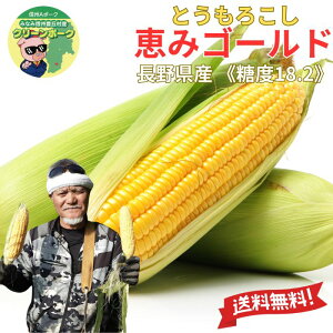 y 2026Nxn \̔ z Yn y 쌧Y b S[h 5{`30{ 1{350gO zs x18.2x tt[cÂI u  b gERV  gERV XC[gR