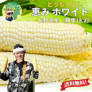 y 2026Nxn \̔ z Yn y 쌧Y b zCg Ƃ낱 5{`30{ 1{ 350gO zs x18.2x tt[cÂ u  b gERV gERV XC[g