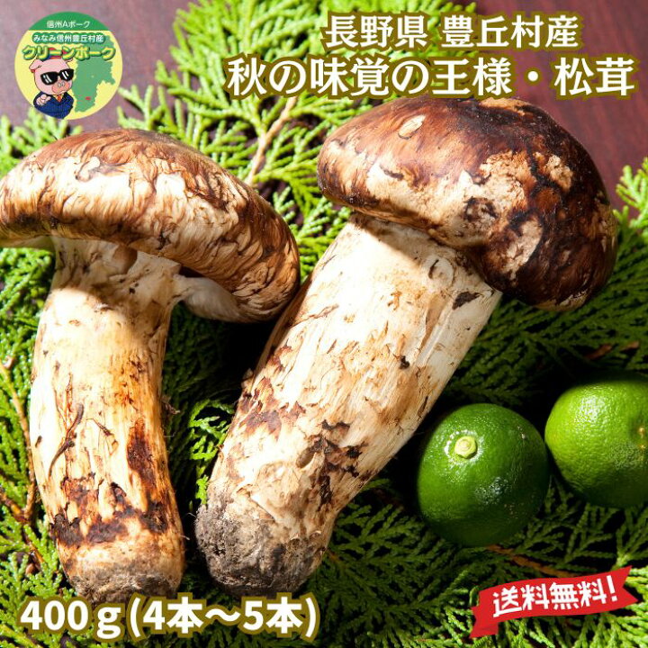 楽天市場】【まもなく受付終了！】 松茸 国産 最高級 信州 天然 信州産 