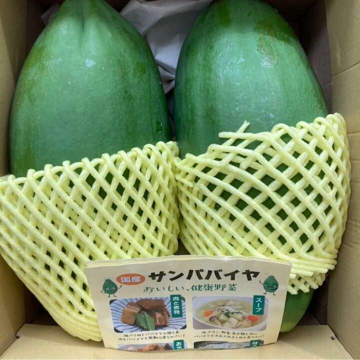 楽天市場】【 2026年予約販売 】 長野県産 【 松下さんが作る 酵素 