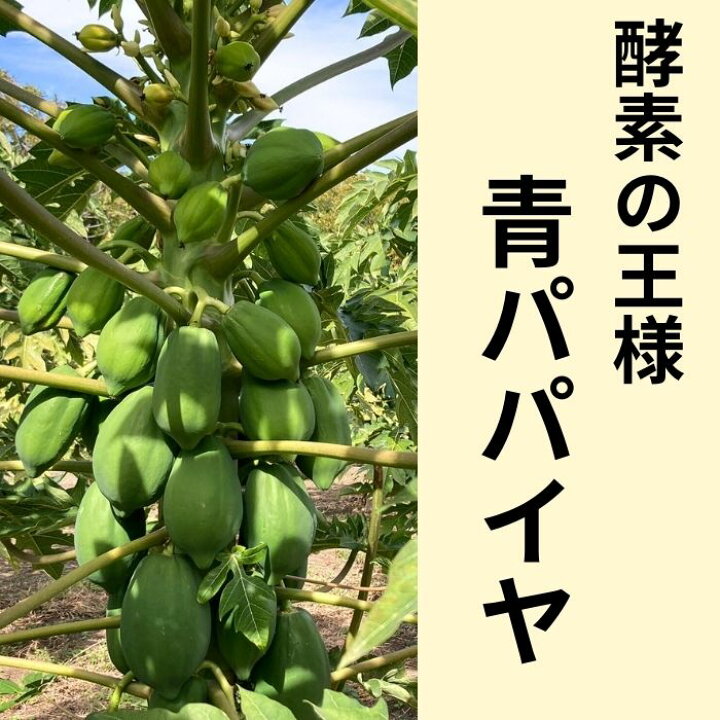 楽天市場】【 2026年予約販売 】 長野県産 【 松下さんが作る 酵素 