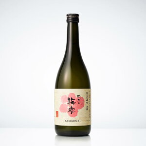 y Mtg 蕨 z~ Mtg r L[ ō y Iv̔~ i~jzy HcY  zzu {  Mtg v[g  N NX}X   C