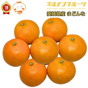 Mtg y 2025Nx11 \̔ zu ܂ǂ 3`5L( QY ) vy召 ƒpzy TCY p z Yn u  QY Q݂  ~J B݂