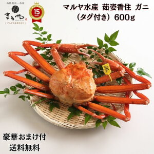 豪華おまけが選べる! マルヤ水産【 茹姿香住 ガニ(タグ付き)600g】(冷凍) プロトン凍結 「 紅ズワイガニ 送料無料 蟹 カニ かにみそ カニポーション カニ カニカン カニ爪 むき身 ほぐし身