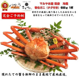 【予約販売】豪華おまけが選べる！ マルヤ水産【 茹姿香住 ガニ（タグ付き 冷蔵 ）600g 】プロトン凍結 「 紅ズワイガニ 送料無料 蟹 カニ かにみそ カニポーション カニ カニ爪 むき身 ほぐし身 ボイル 甲羅盛 かに お取り寄せ グルメ 内祝 ギフト家庭用 父の日 ギフト 」