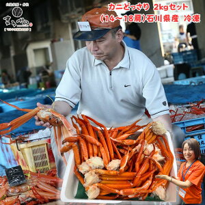 Mtg }Yy Ɂΐ쌧Y ǂ Jj Zbg 䥐 xjYCKj 2kg 14-18 8 z Ⓚ u  hV̓  I JjX Jj |[V Jj {C Y